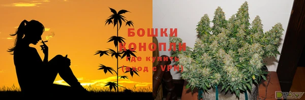 ALPHA-PVP Алексеевка