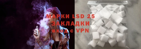 ГАЛЛЮЦИНОГЕННЫЕ ГРИБЫ Абаза