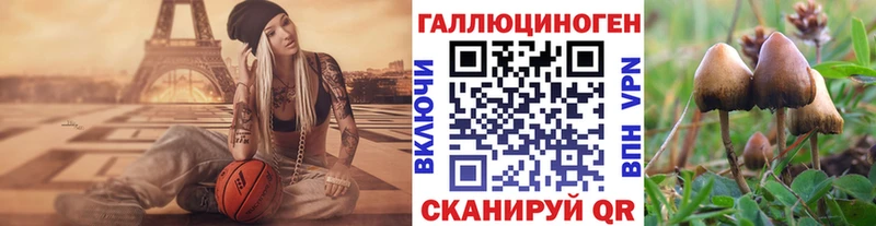 что такое Устюжна Галлюциногенные грибы мухоморы
